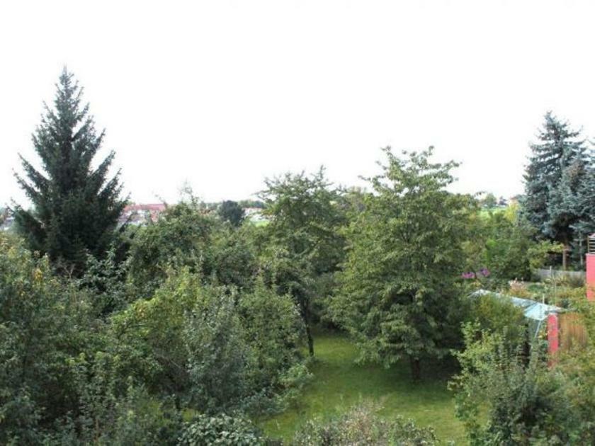 Exklusive Ferienwohnung An Der Elbe Dresden Eksteriør bilde